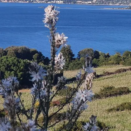 Apartment Liscia Sea View, Restaurant And Supermarket 50M Calcatoggio  Buitenkant foto